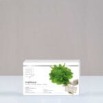 کپسول بادرنجبویه ملیسا ام بی کی | تعداد 60 کپسول - فیتو