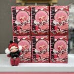 عروسک پاپ مارت اسکول پاندا